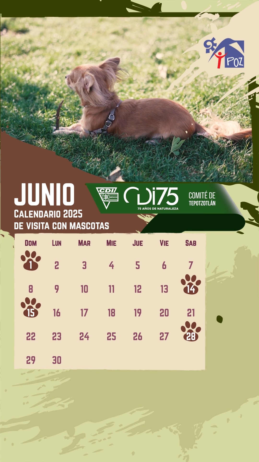 Calendario junio T-Poz