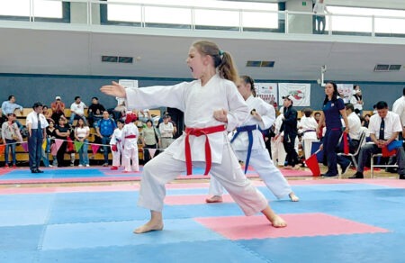 Copa de Karate Do