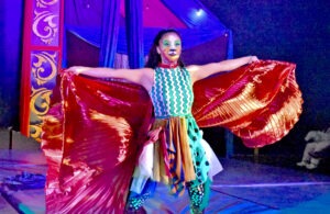 La Gran Gala de Circus Academy está por comenzar