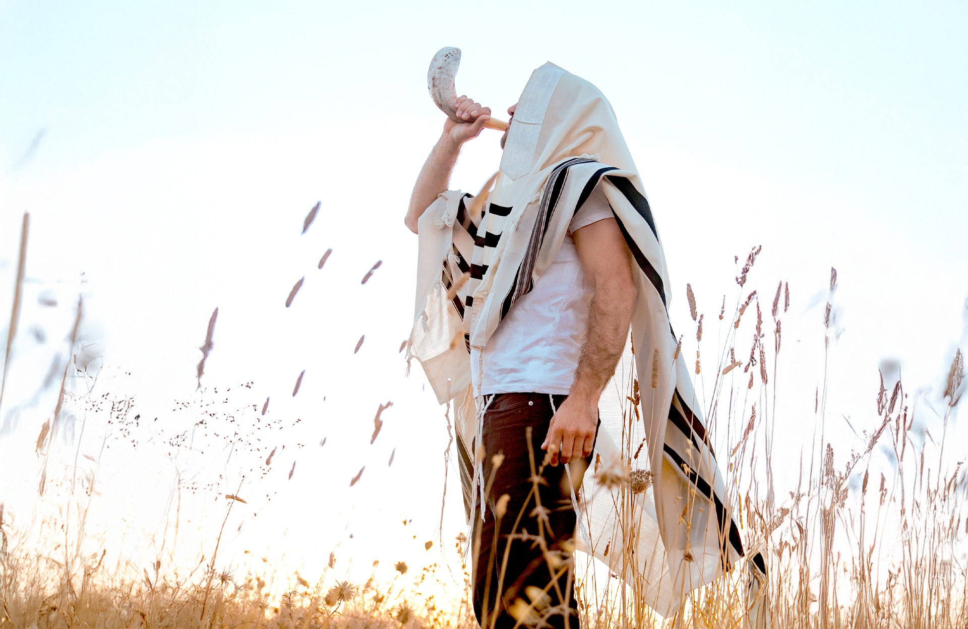 El mes de Elul