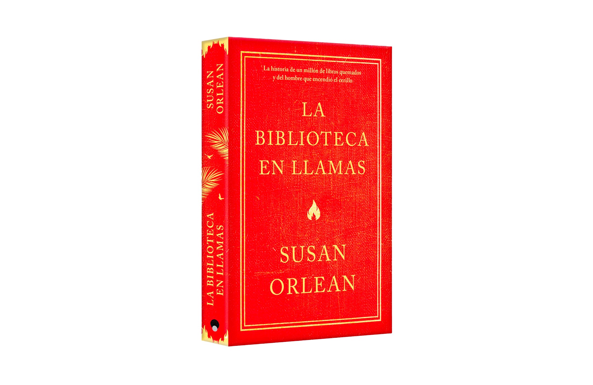 La biblioteca en llamas