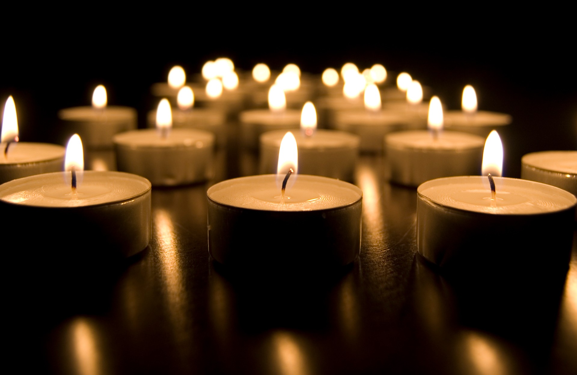 Día internacional en memoria de las víctimas del holocausto