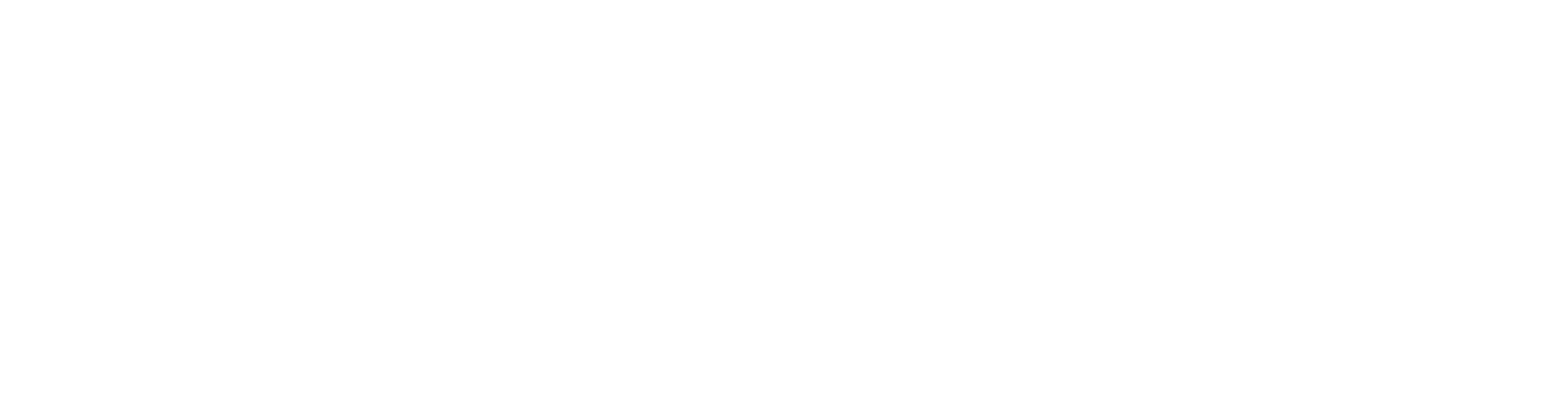 Fecha Aviv
