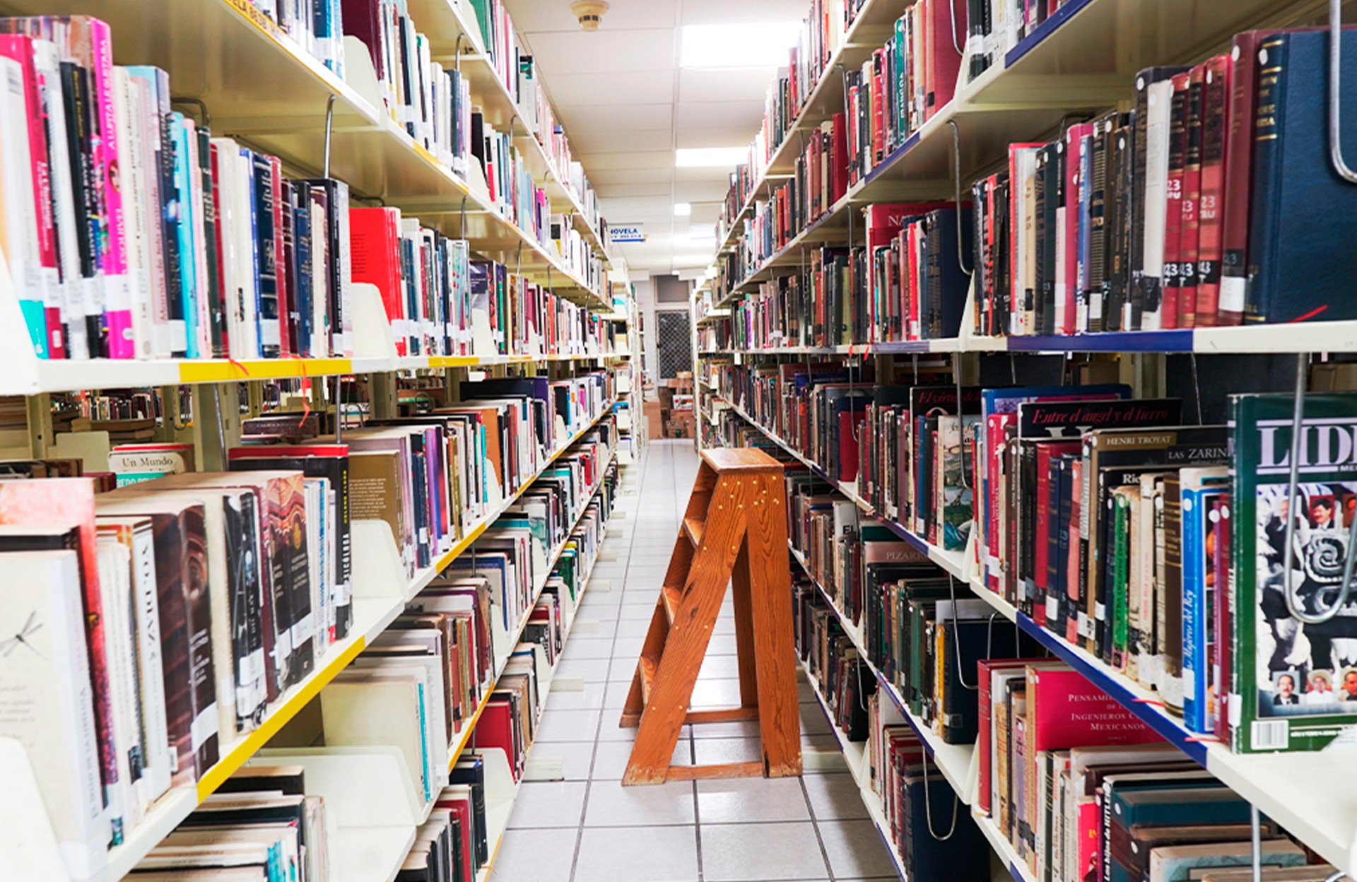 Enamorate de la Biblioteca