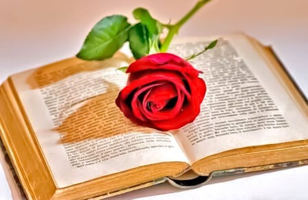 Recomendacion de libros