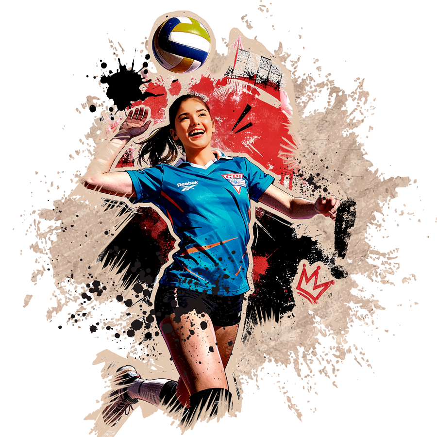 Voleibol de duela
