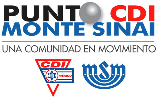 Punto CDI MS Logo