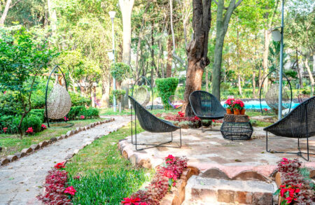 Lugares bonitos para leer en CDMX Lugares bonitos para leer en CDMX
