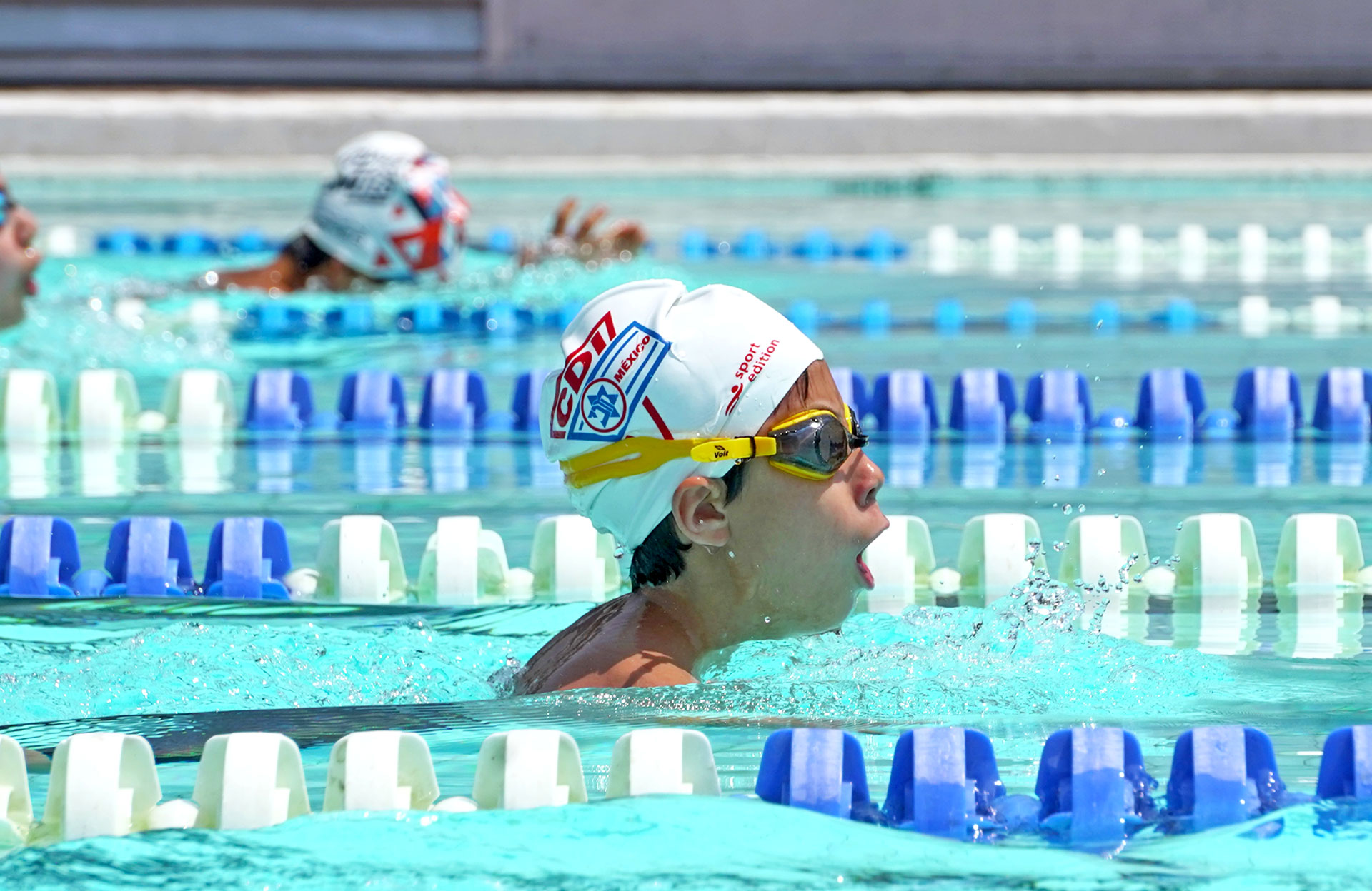 XXX Copa CDI de Natación curso corto