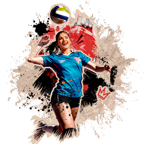 Voleibol