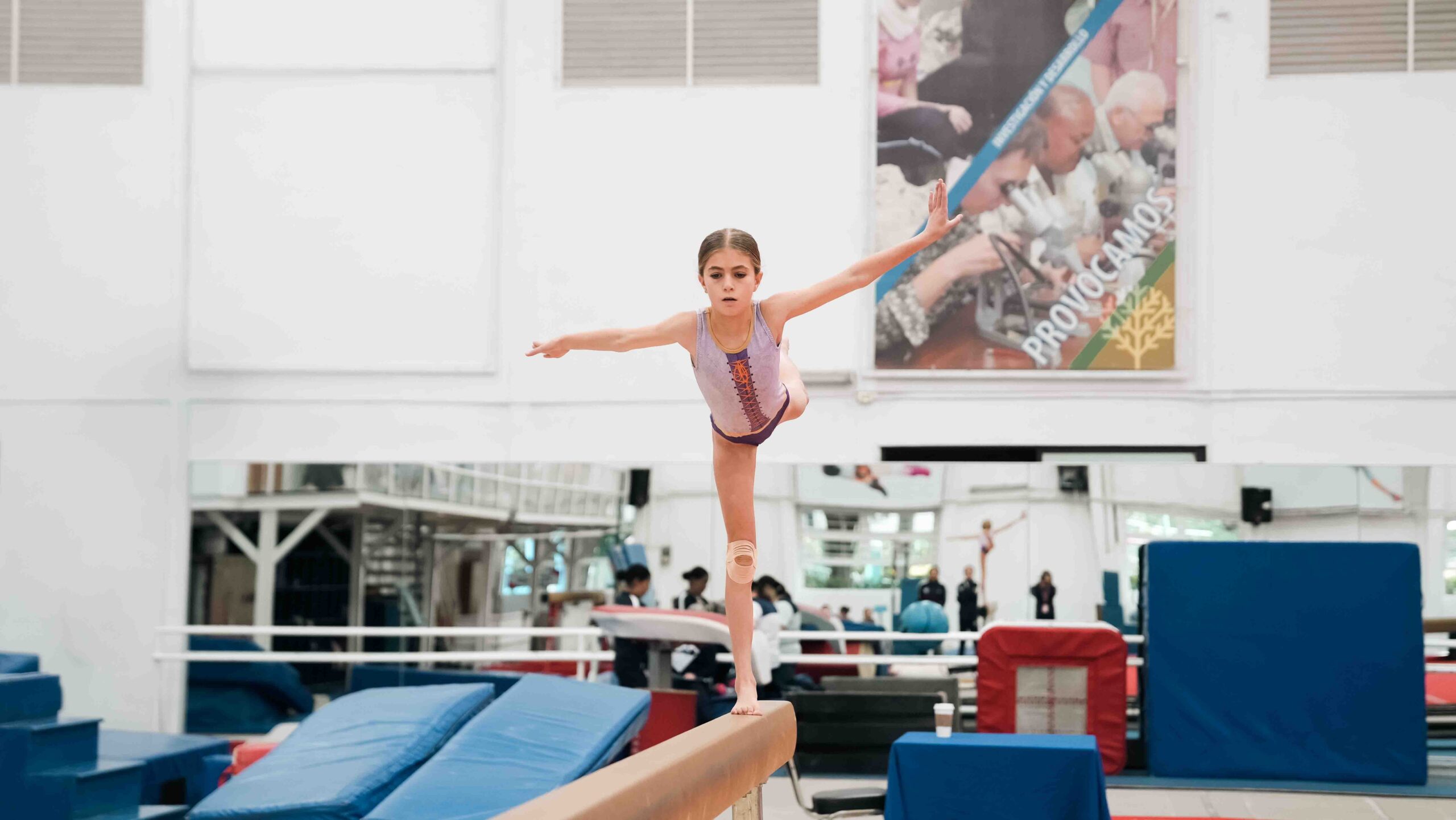 Control de Gimnasia Artística 2026